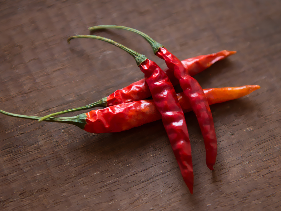 Capsicum frutescens