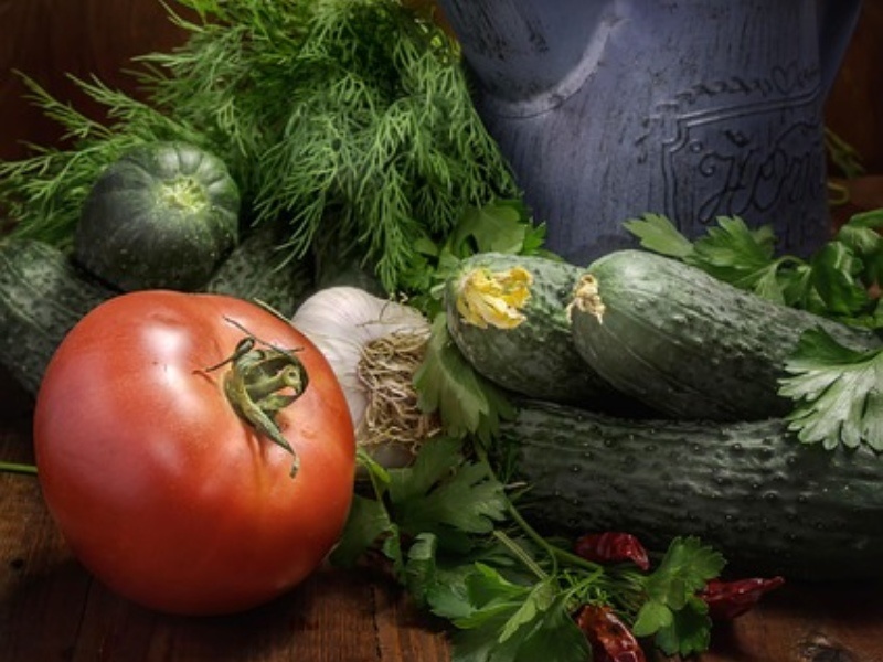 The necessity of environmentally friendly planting techniques