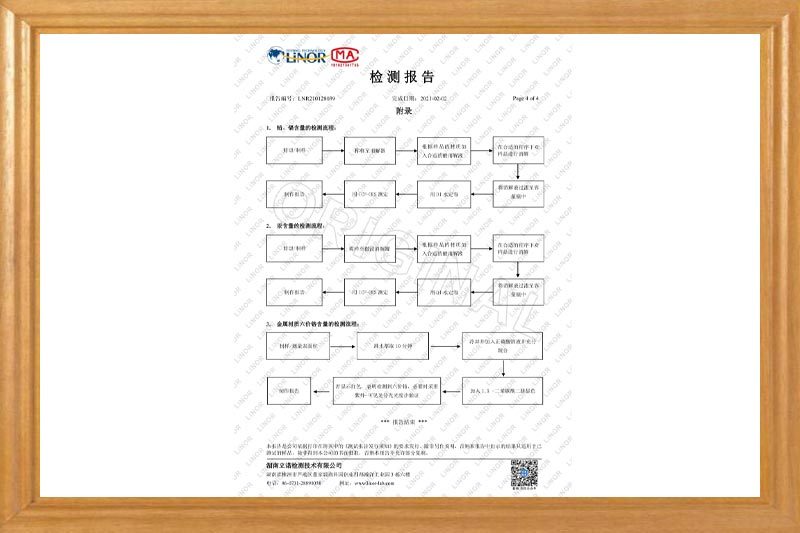 Inspection Report Inspection Report
