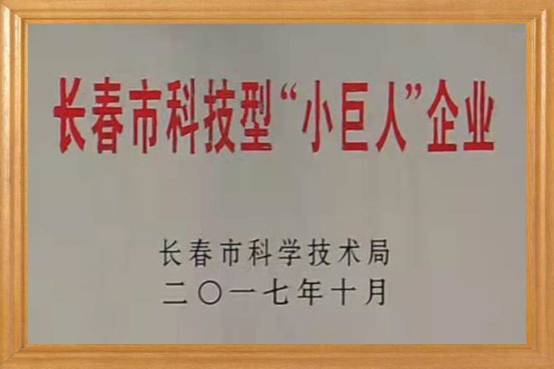 Qualifications and Honors Qualifications and Honors