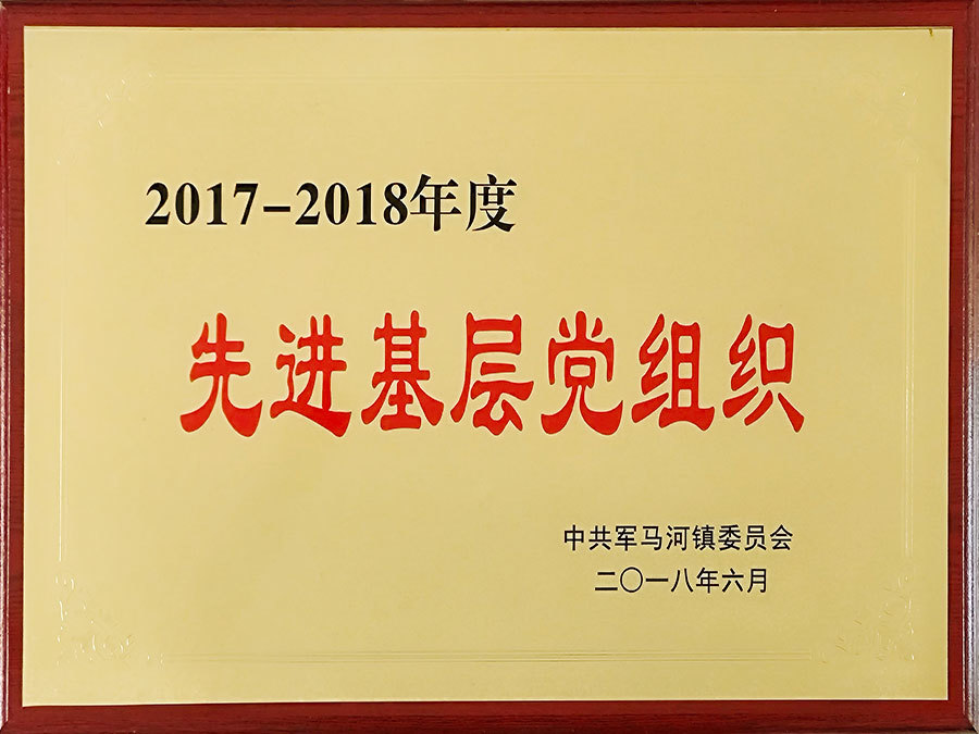 2017年先進(jìn)黨組織.jpg