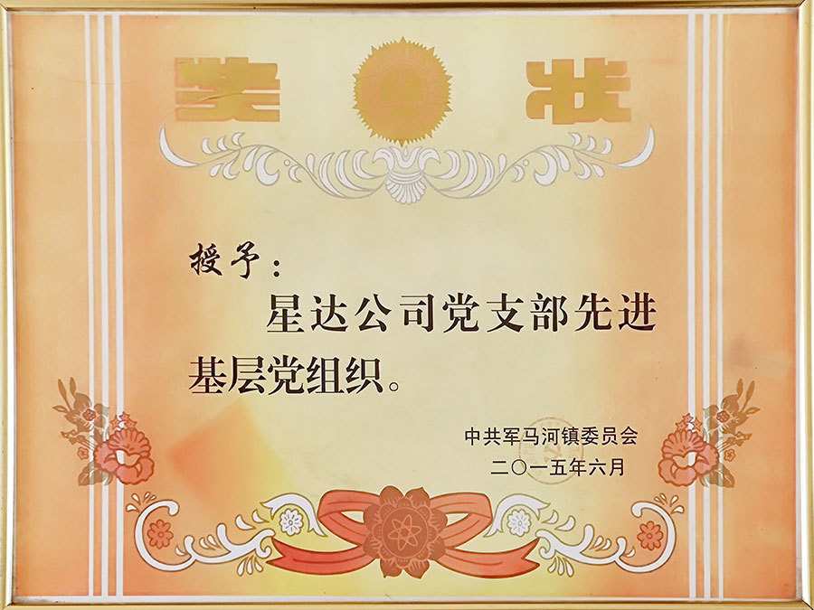 2015年先進(jìn)黨支部.jpg