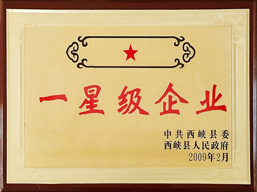 2009年星級企業(yè).jpg