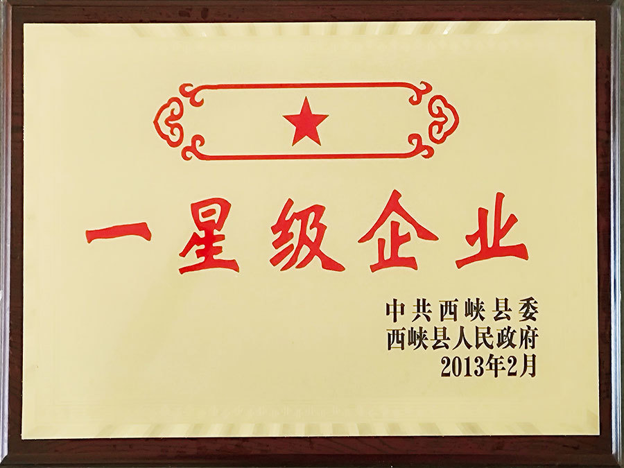 2013年星級企業(yè).jpg