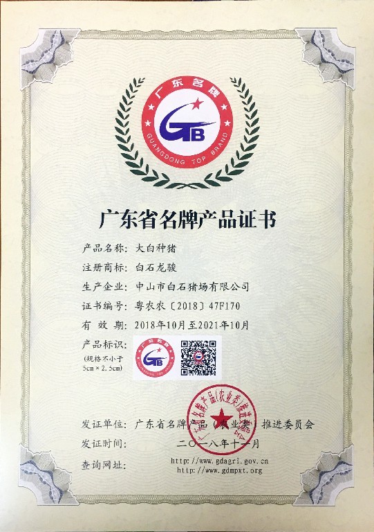 廣東省名牌證書1