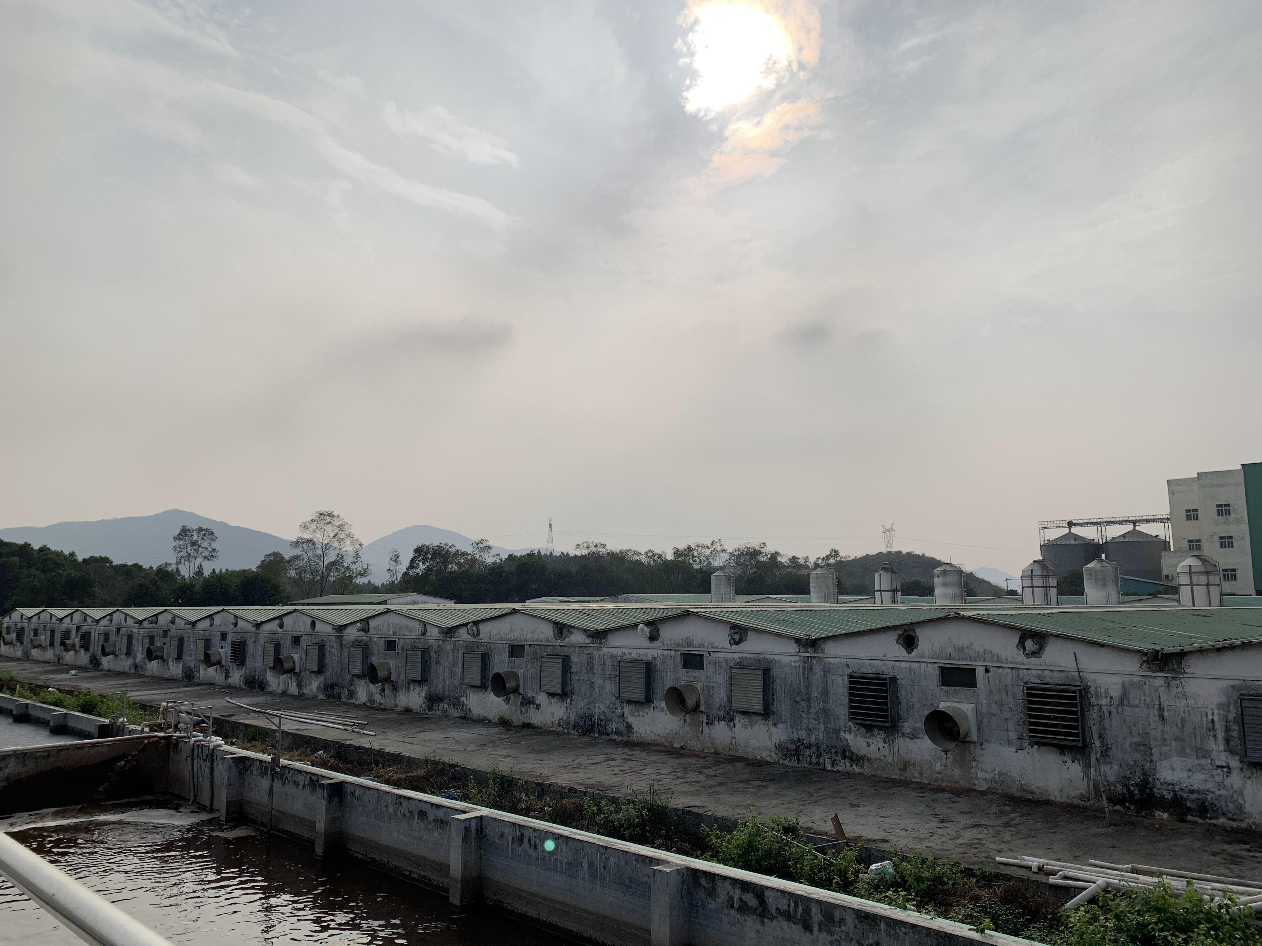 親近基地4