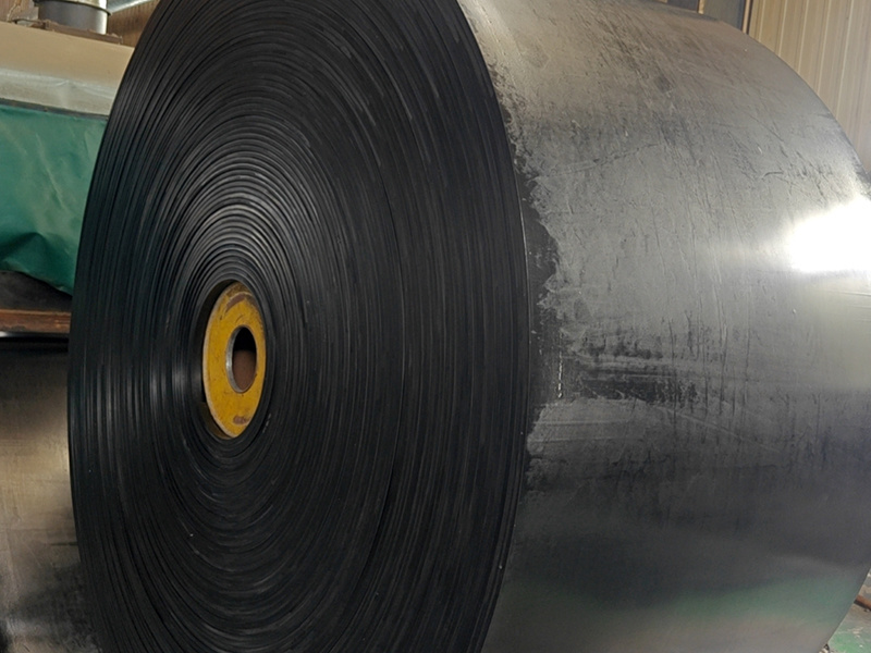 Cold resistant conveyor belt
