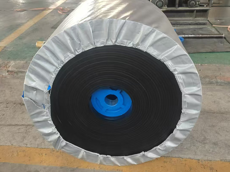 The Evolution of Industrial Conveyor Systems