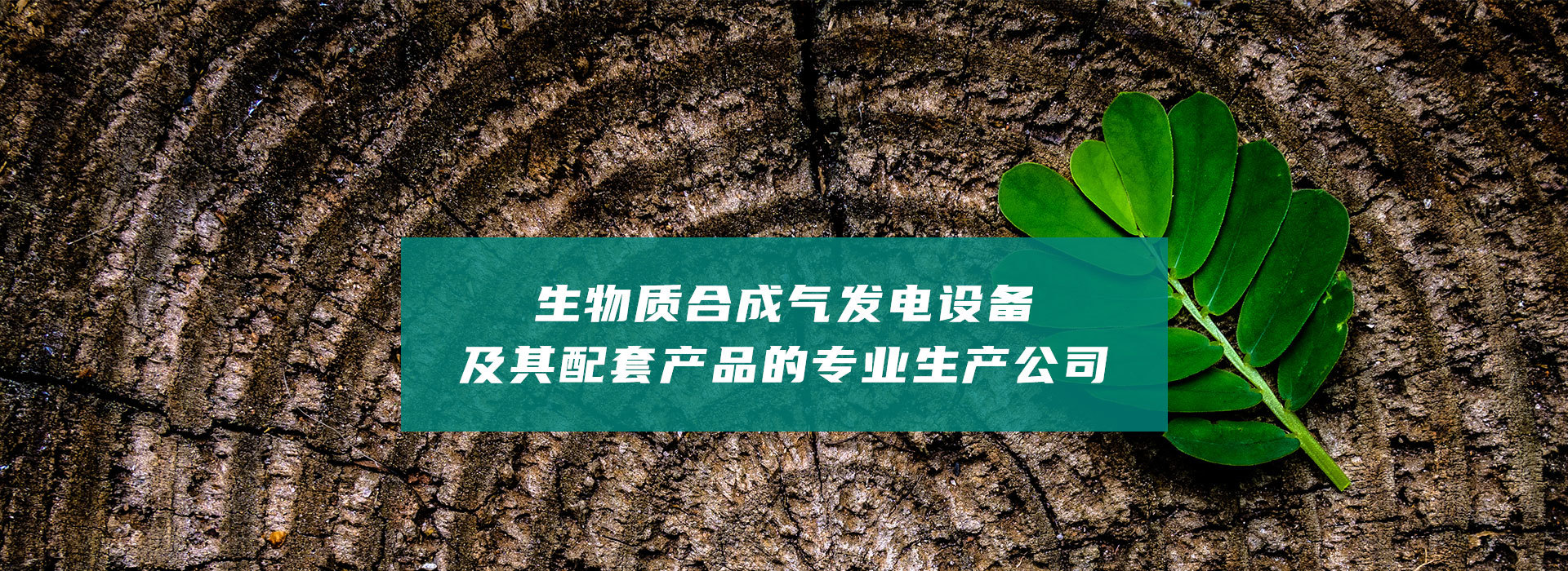 科信新能源