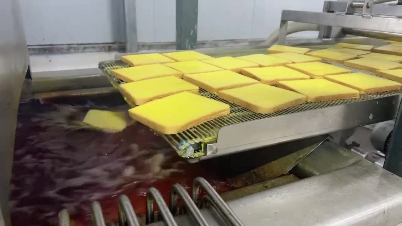 Frying production line Frying production line