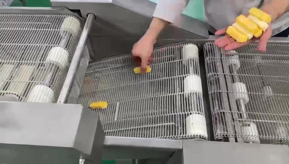 Automatic Meat Batter Machine