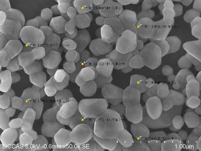 Effect of Content and Particle Size of MgO on Liquid-phase Sintering Behavior and Mechanical Properties of Si3 N4 -Y2 O3 -MgO Ceramics