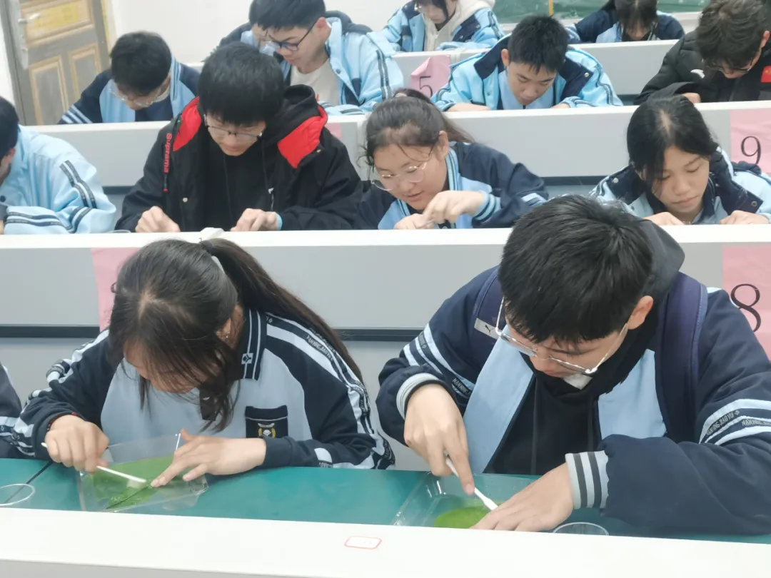 生物組手工書簽
