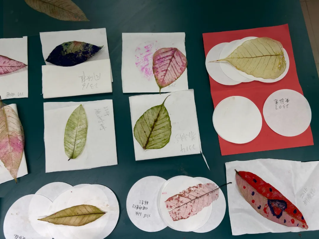 生物組手工書簽