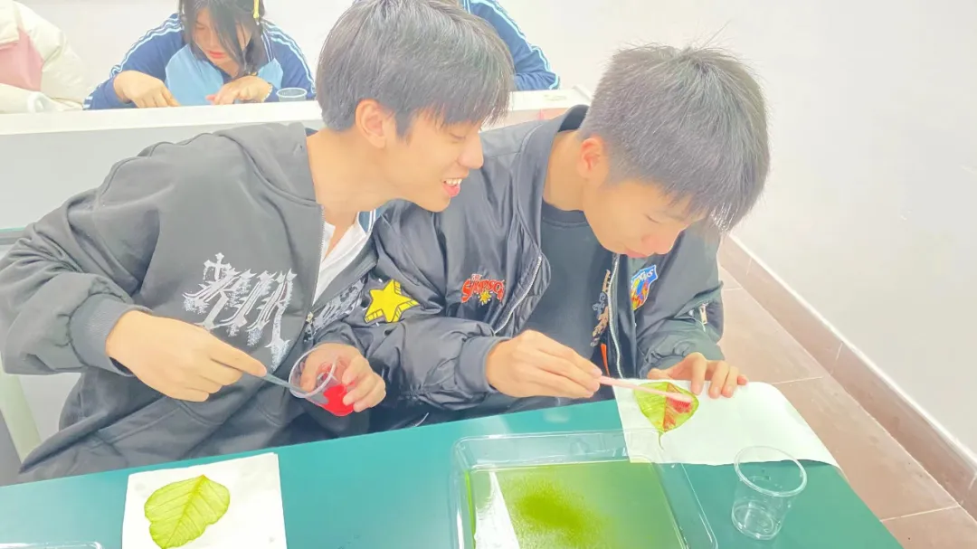生物組手工書簽