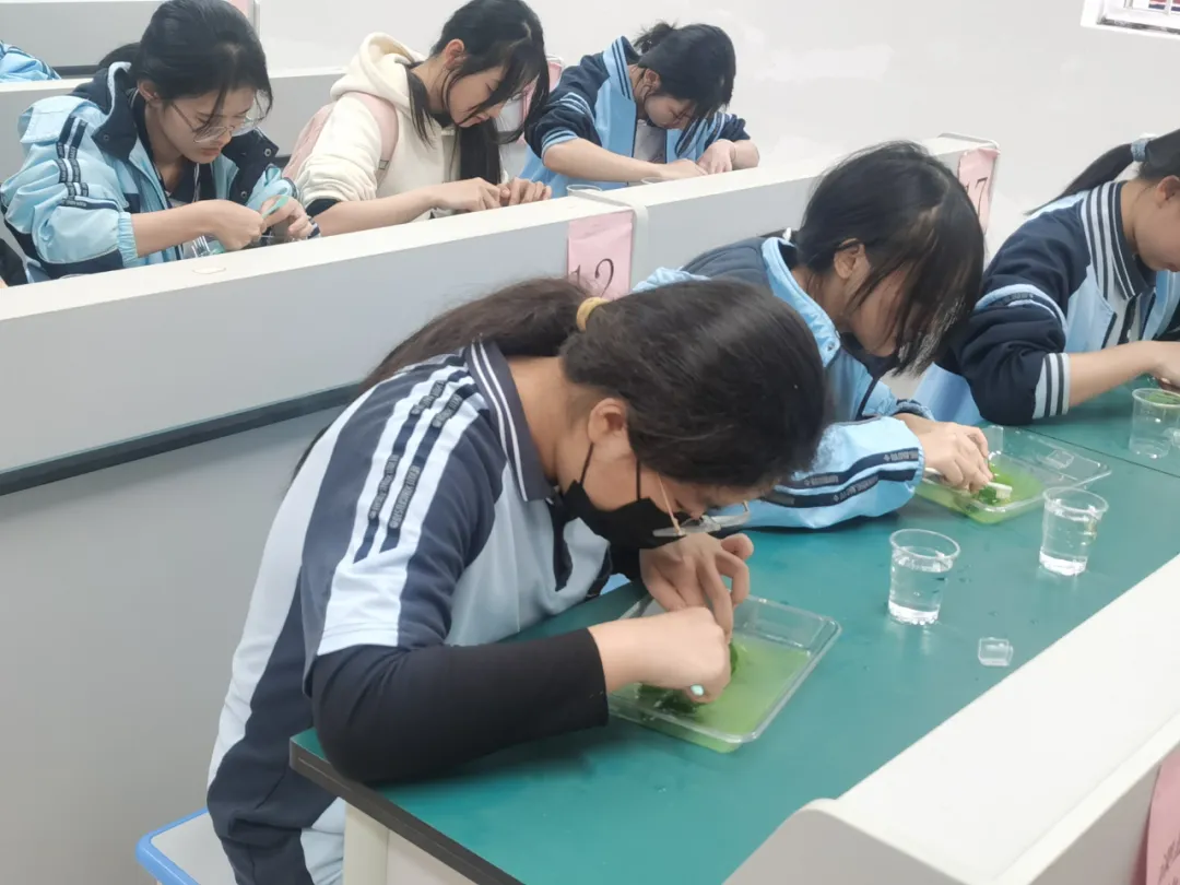 生物組手工書簽