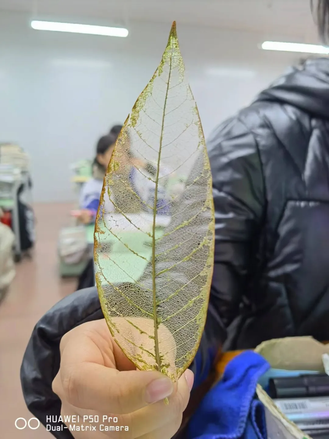 生物組手工書簽