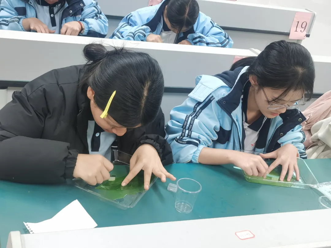 生物組手工書簽