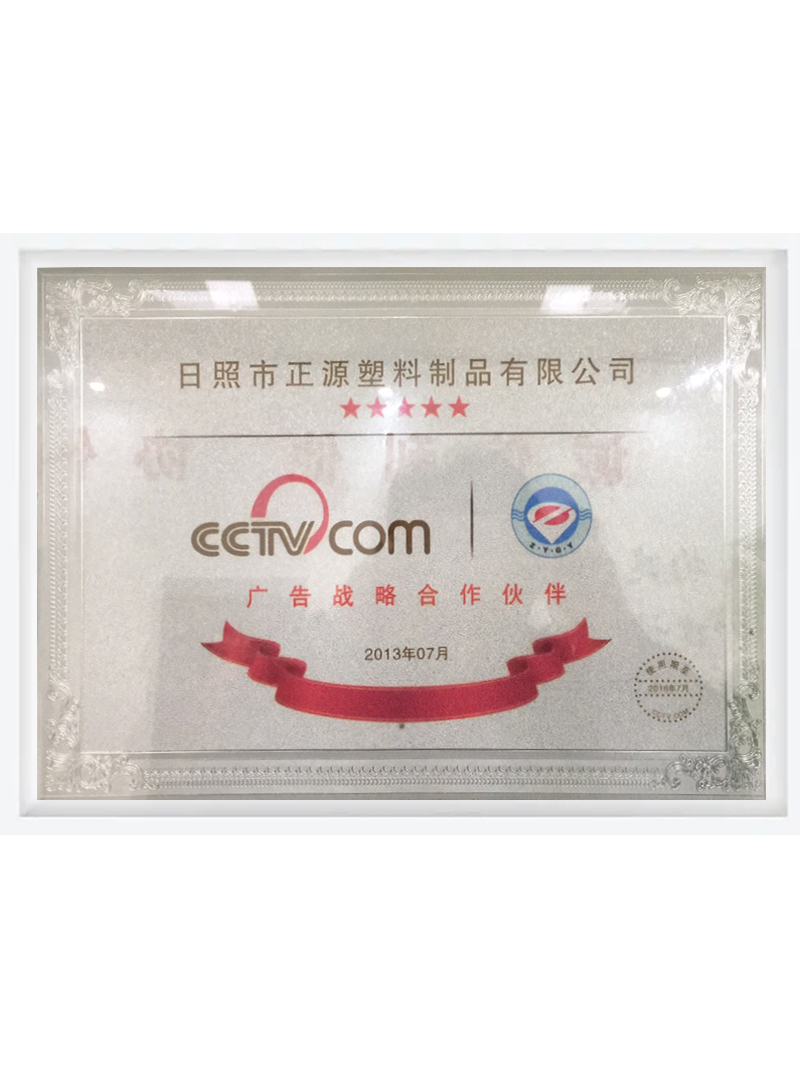 CCTV广告战略合作伙伴
