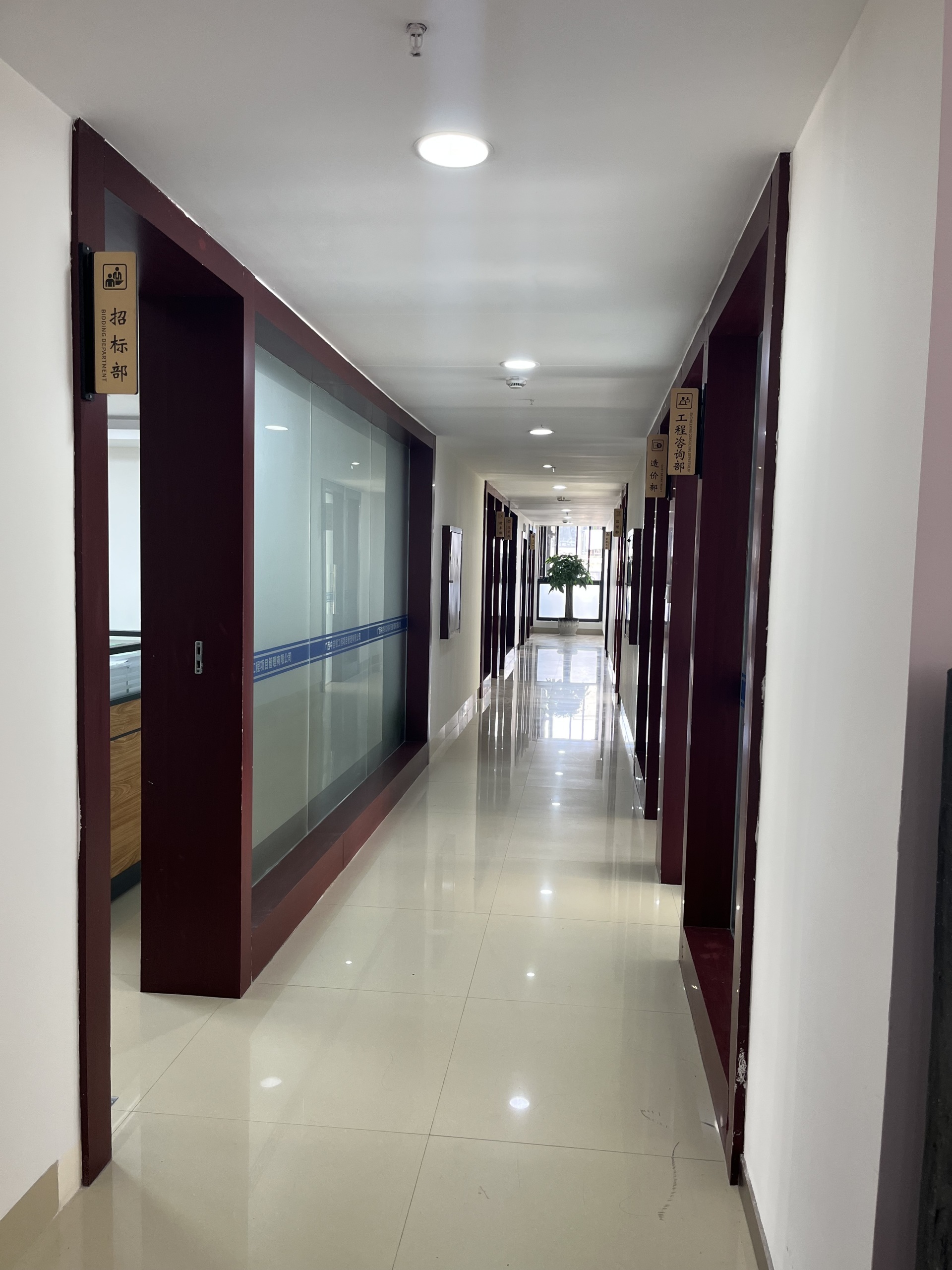 办公区走廊展示 办公区走廊展示