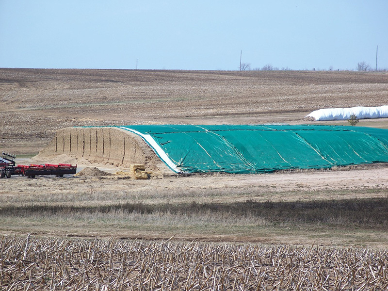 Stored Feed