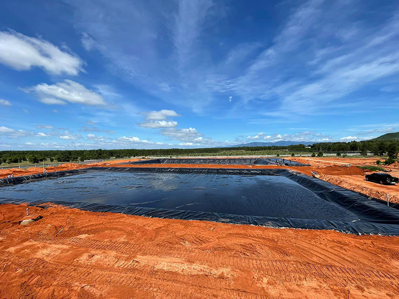 Harvesting Pond