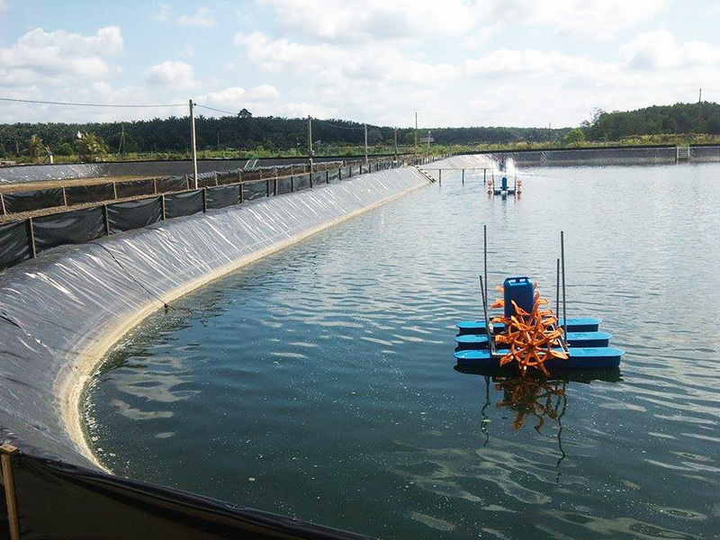 HDPE Geomenbrane Aquaculture