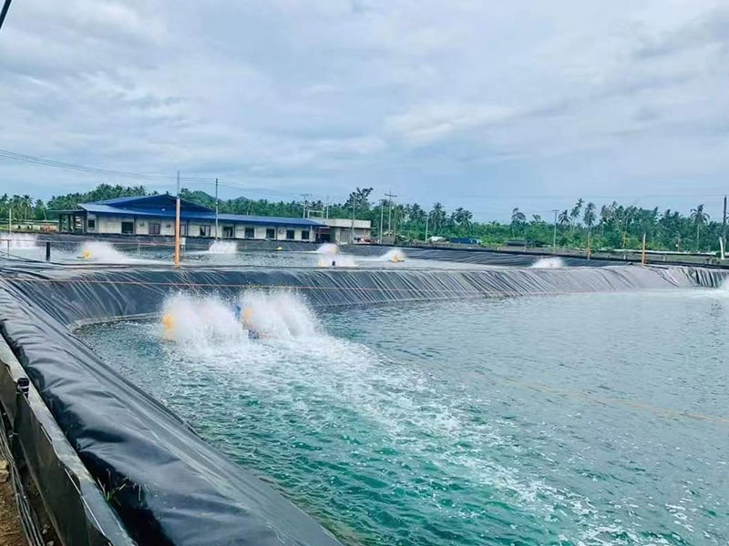 HDPE Geomenbrane Aquaculture