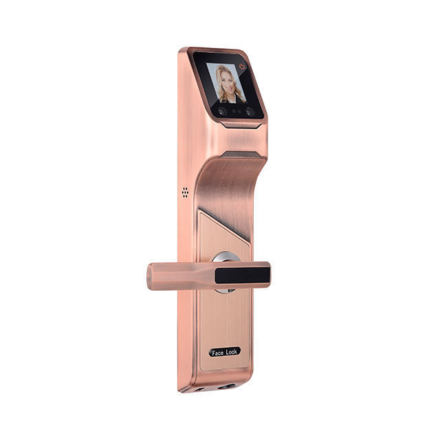 Huarui HR605 Smart Waterproof Lock Door, Smart Lock Door Outdoor, Smart Door Lock for Sliding Glass Door