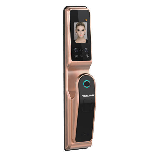 Huarui Lock H10 Cerradura Smart Finger Print Facial Recognition Door Lock