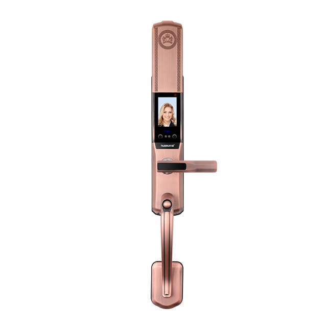 Huarui HR805 Plus Smart Facial Recognition Camera Digital Door Lock