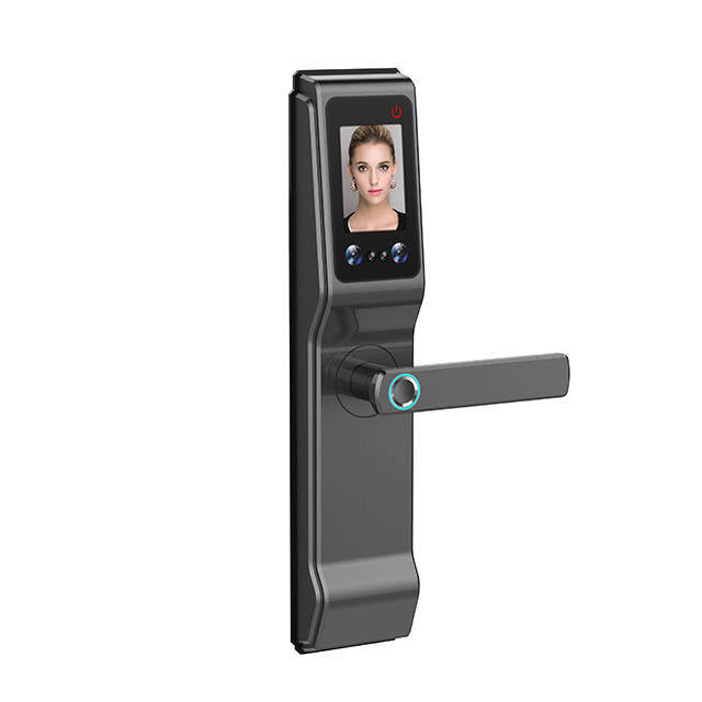 Huarui H9 5 in 1 Digital Door Lock, Door Handle Lock