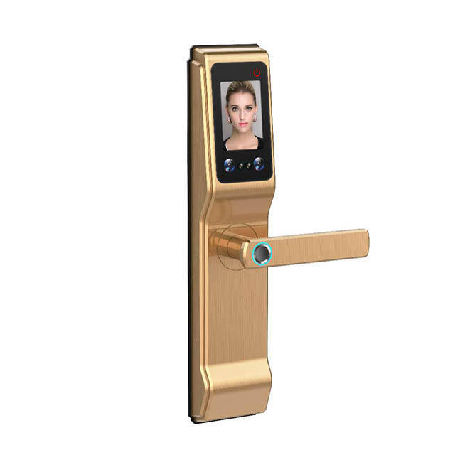 Huarui Smart Face Recognition Door Lock & Door Lock Face Recognition