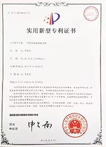 Patent