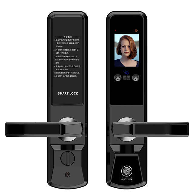 Huarui HR603 Smart Face Recognition Electric Door Lock Palm Print Door Gate Lock Anti-theft Home Villa Access Control Door Lock