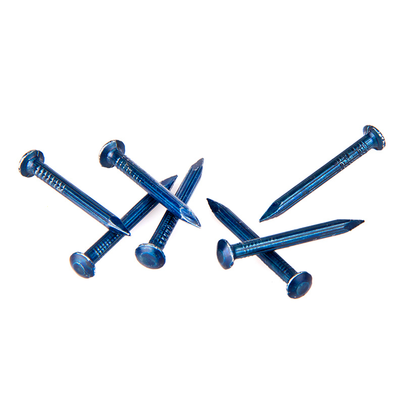 Blue Coated Concrete Nails