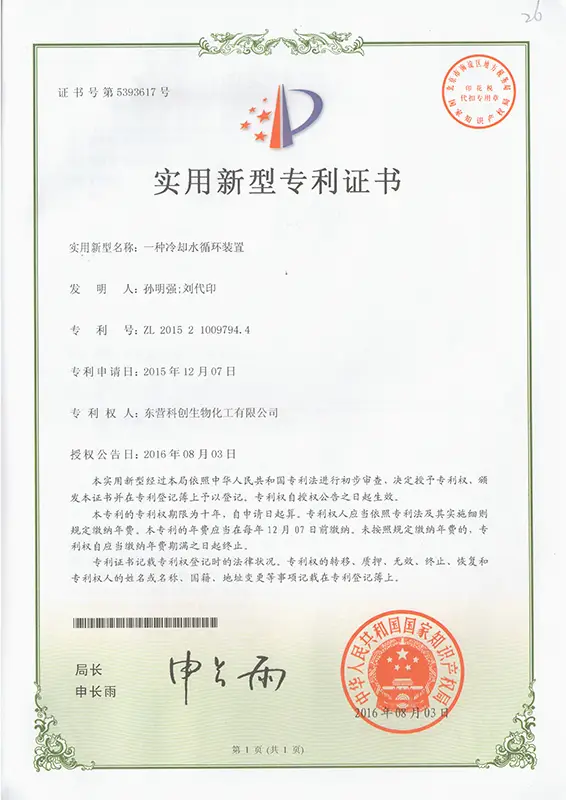 Utility model patent certificate Utility model patent certificate