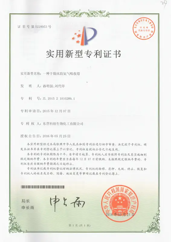 Utility model patent certificate Utility model patent certificate