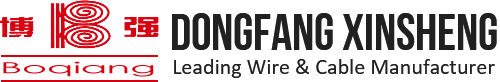 DONGFANG  XINSHENG