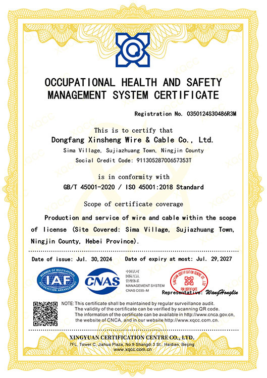 ISO 45001:2018