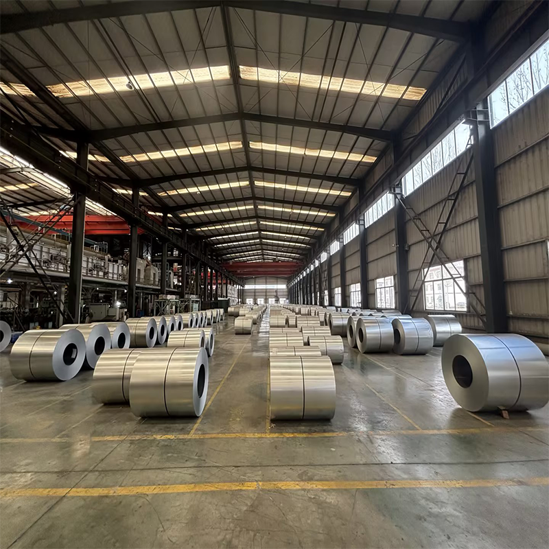 The Versatile World of Galvanized Steel: A Case Study Exploration