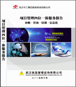 华工赛百项目管理信息系统集成咨询项目