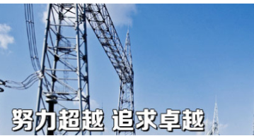 平高集团工程总承包项目管理体系建设