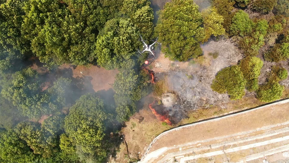  Forest fire 