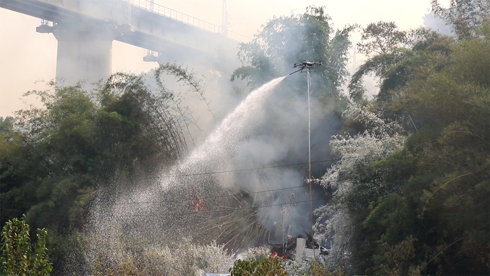  Forest fire 