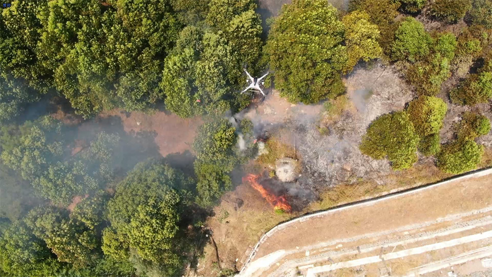  Forest fire 