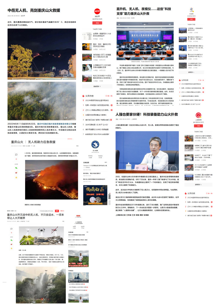  Forest fire 