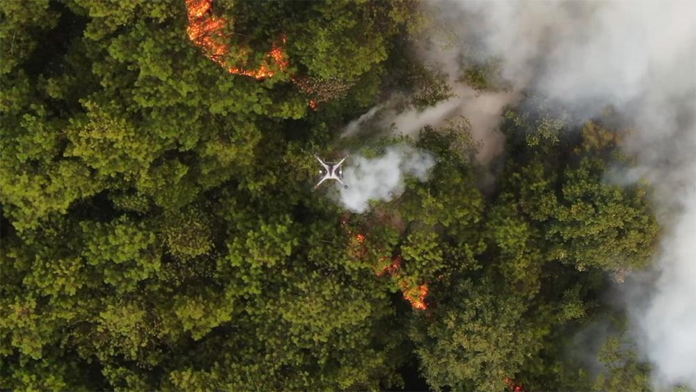  Forest fire 