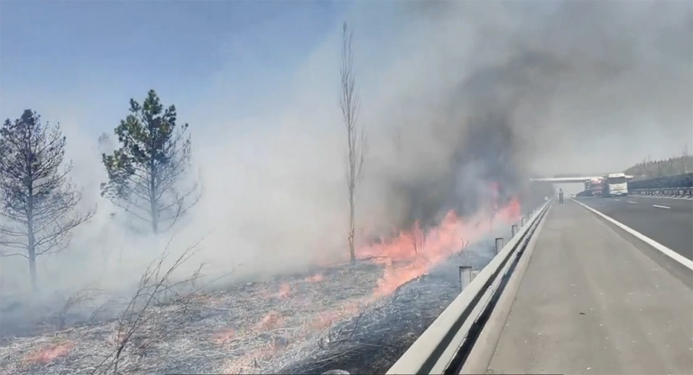 March 29th Yulin, Shaanxi Forest Fire Rescue Case Study