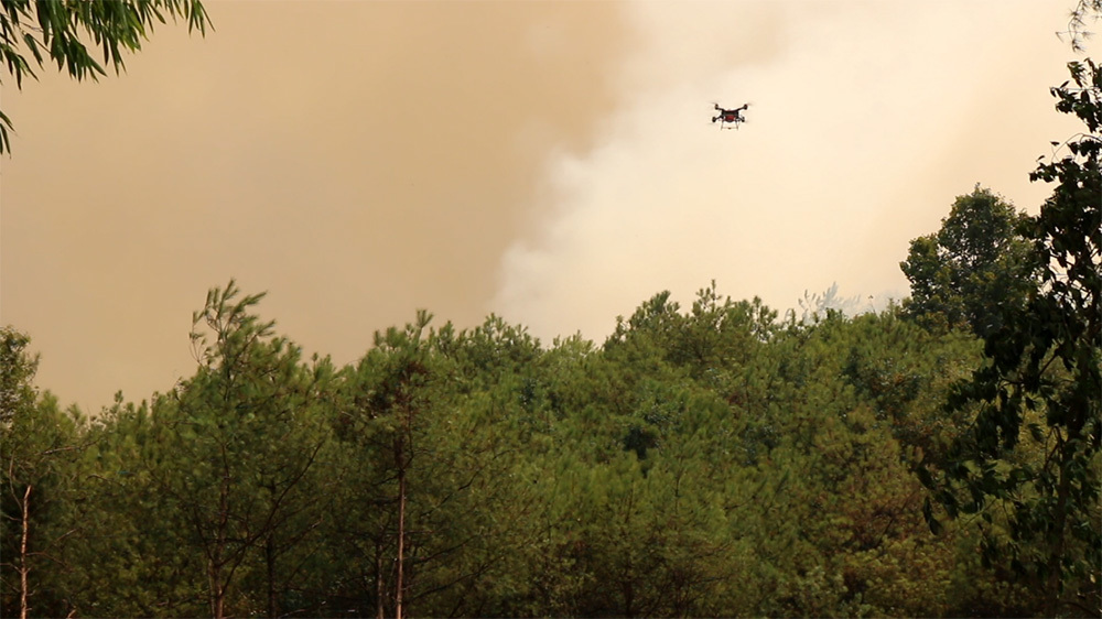  Forest fire 